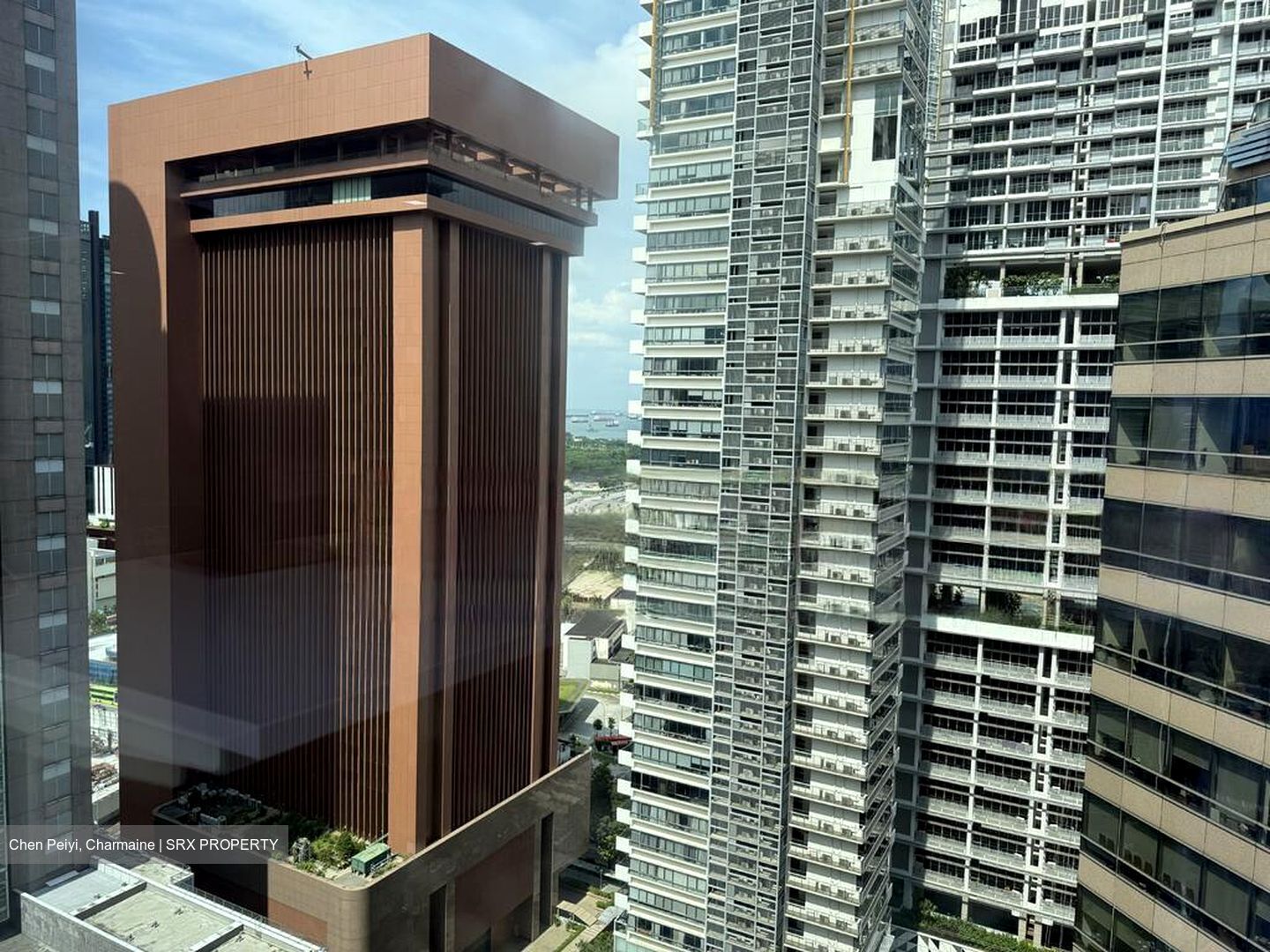 Mapletree Anson (D2), Office #451553901